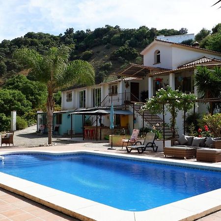 Vegan Guesthouse Finca Pereila Coín Kültér fotó