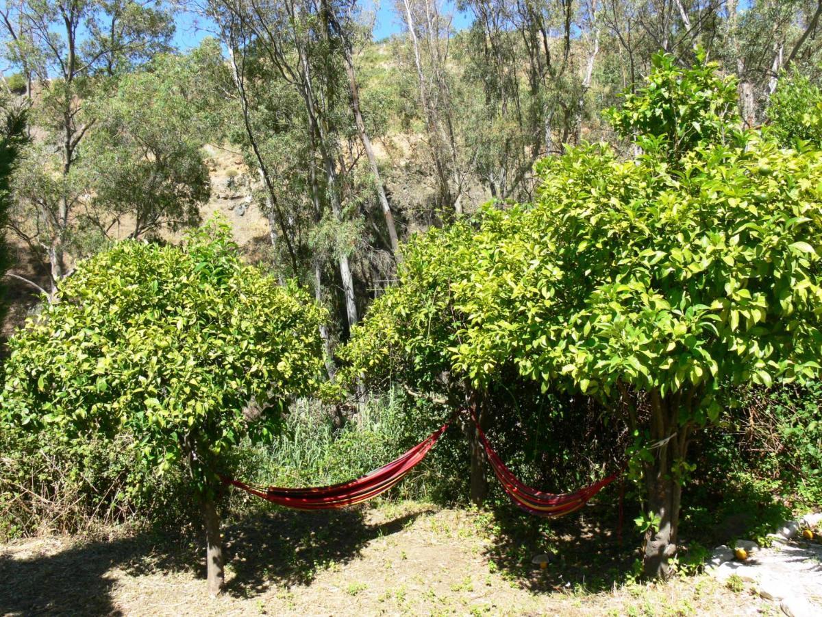 Vegan Guesthouse Finca Pereila Coín Kültér fotó
