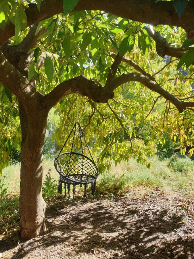 Vegan Guesthouse Finca Pereila Coín Kültér fotó